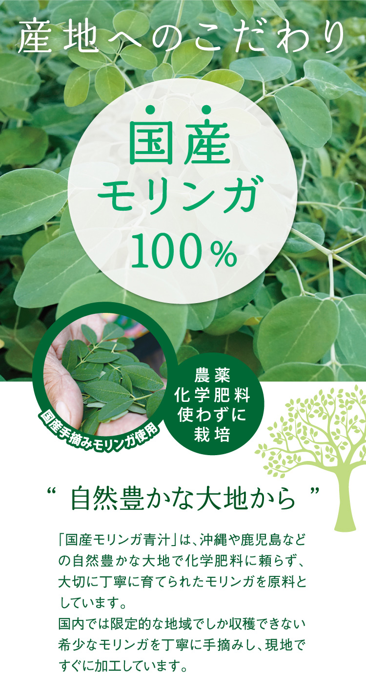「国産モリンガ青汁」は、沖縄や鹿児島などの自然豊かな大地で化学肥料に頼らず、大切に丁寧に育てられたモリンガを原料としています。 国内では限定的な地域でしか収穫できない希少なモリンガを丁寧に手摘みし、現地ですぐに加工しています。